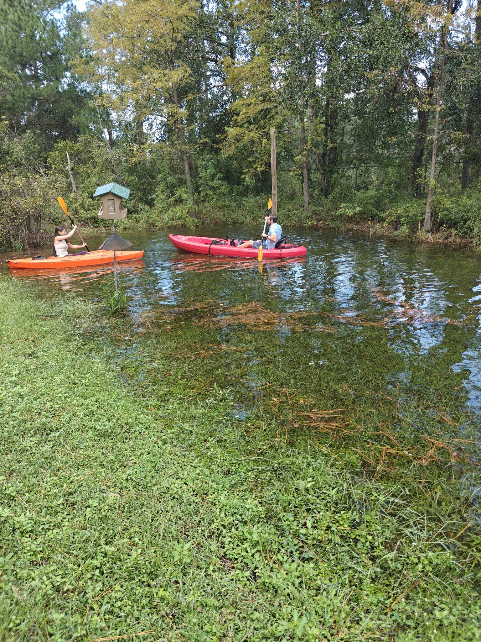 Kayak races in Lake Dacasso the day after Hurricane Milton!