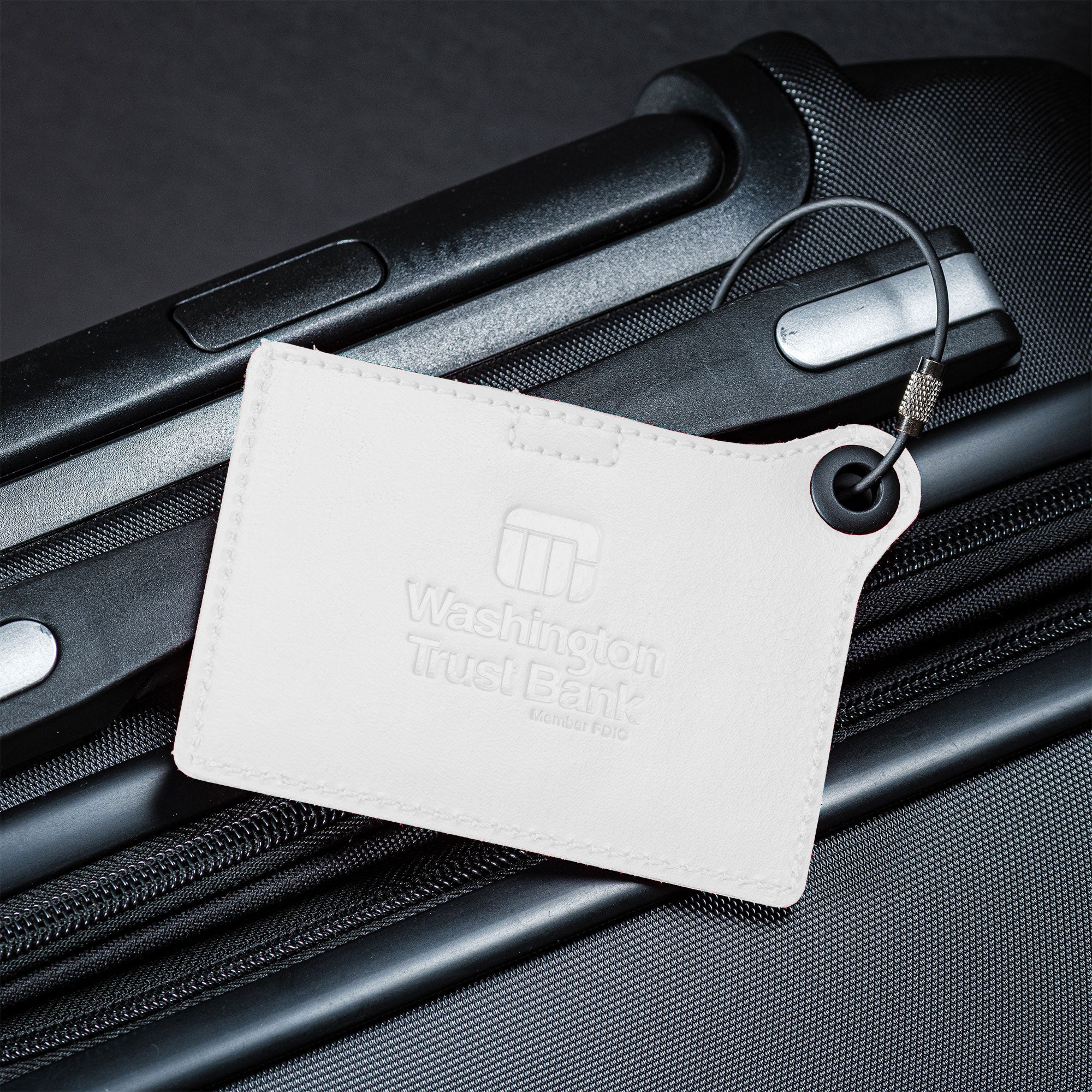 Travelers Envy Leather Luggage Tag with Metal Cable - White