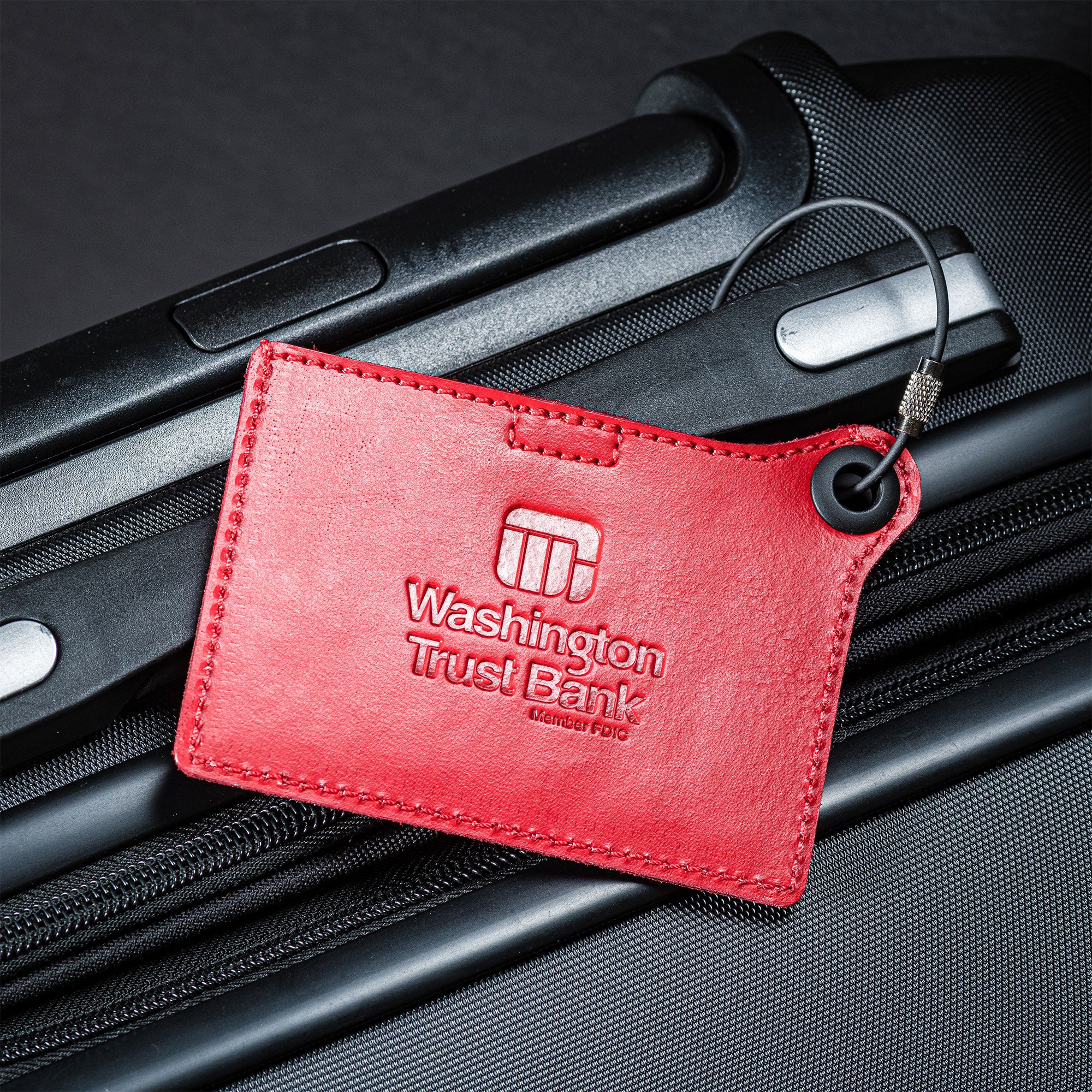 Travelers Envy Leather Luggage Tag with Metal Cable - Red