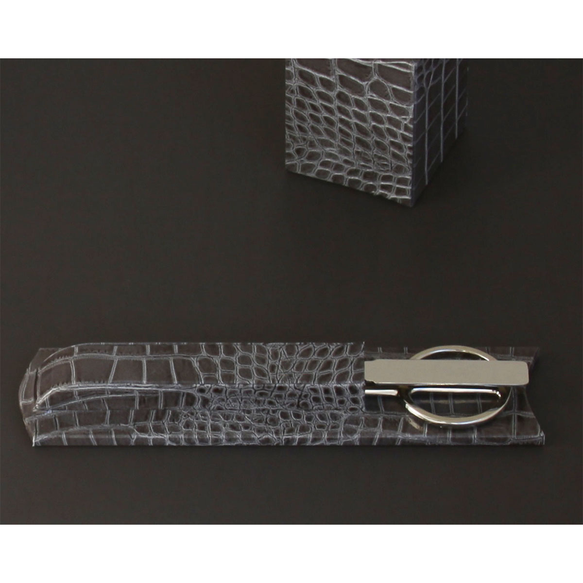 Protacini Castlerock Gray Italian Crocodile Leather Library Set - Silver