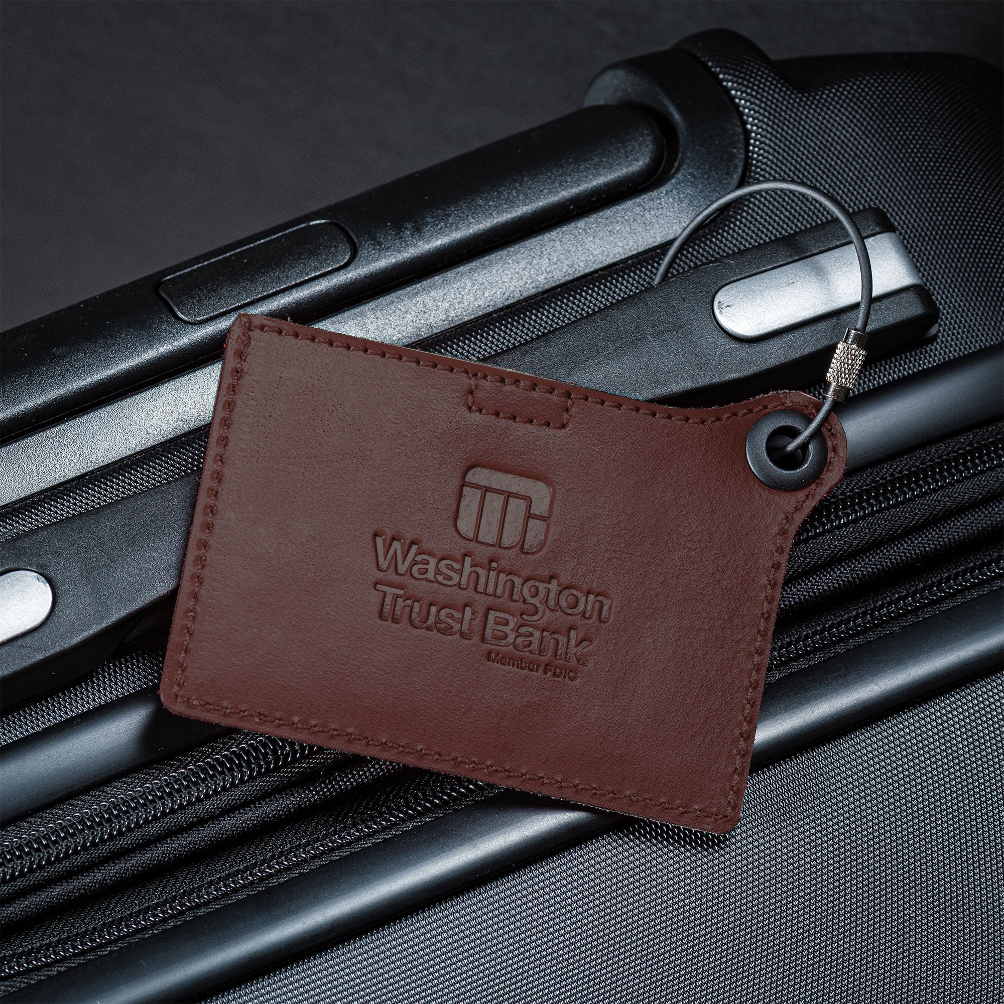 Travelers Envy Leather Luggage Tag with Metal Cable - Chocolate Brown