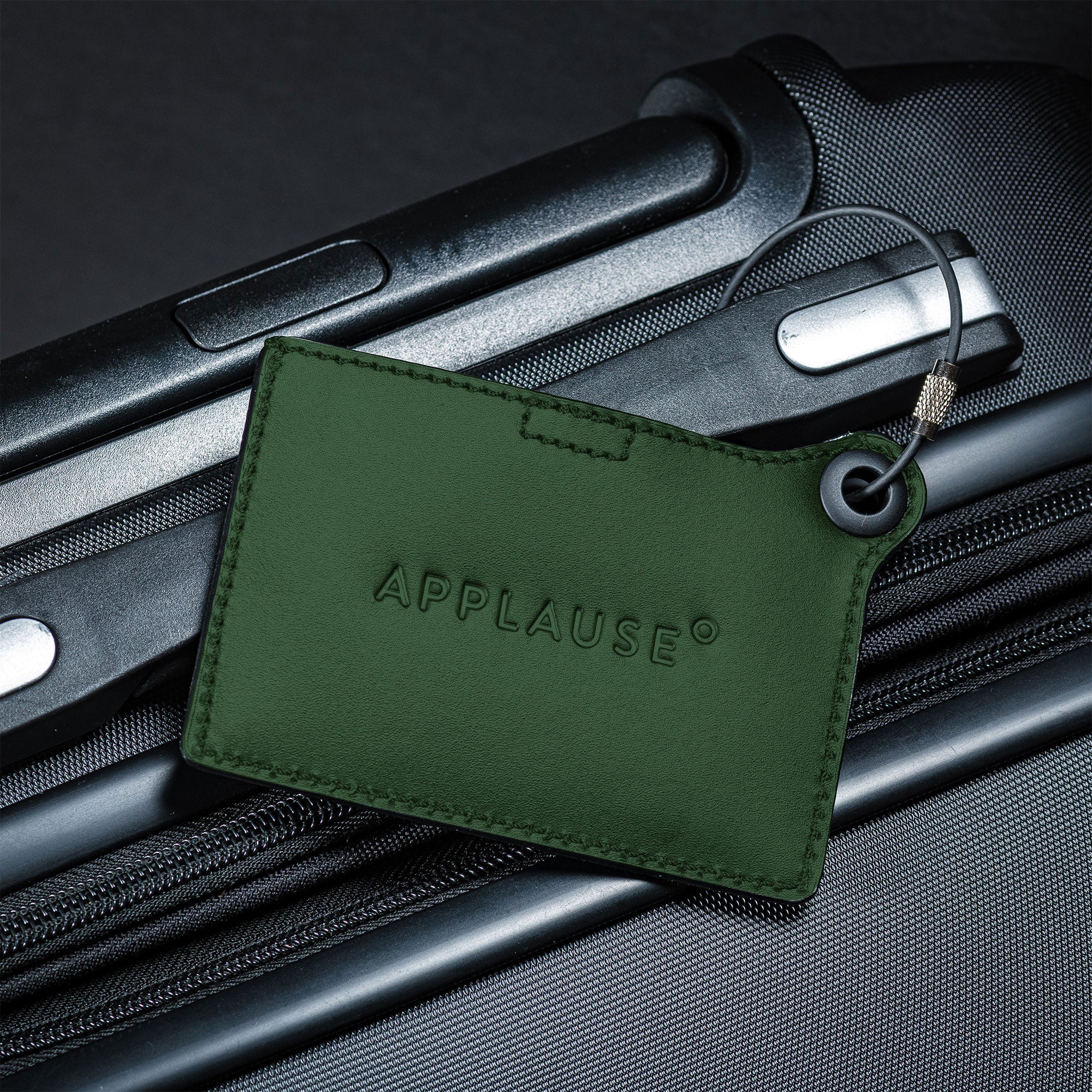 Travelers Envy Leather Luggage Tag with Metal Cable - Dark Green